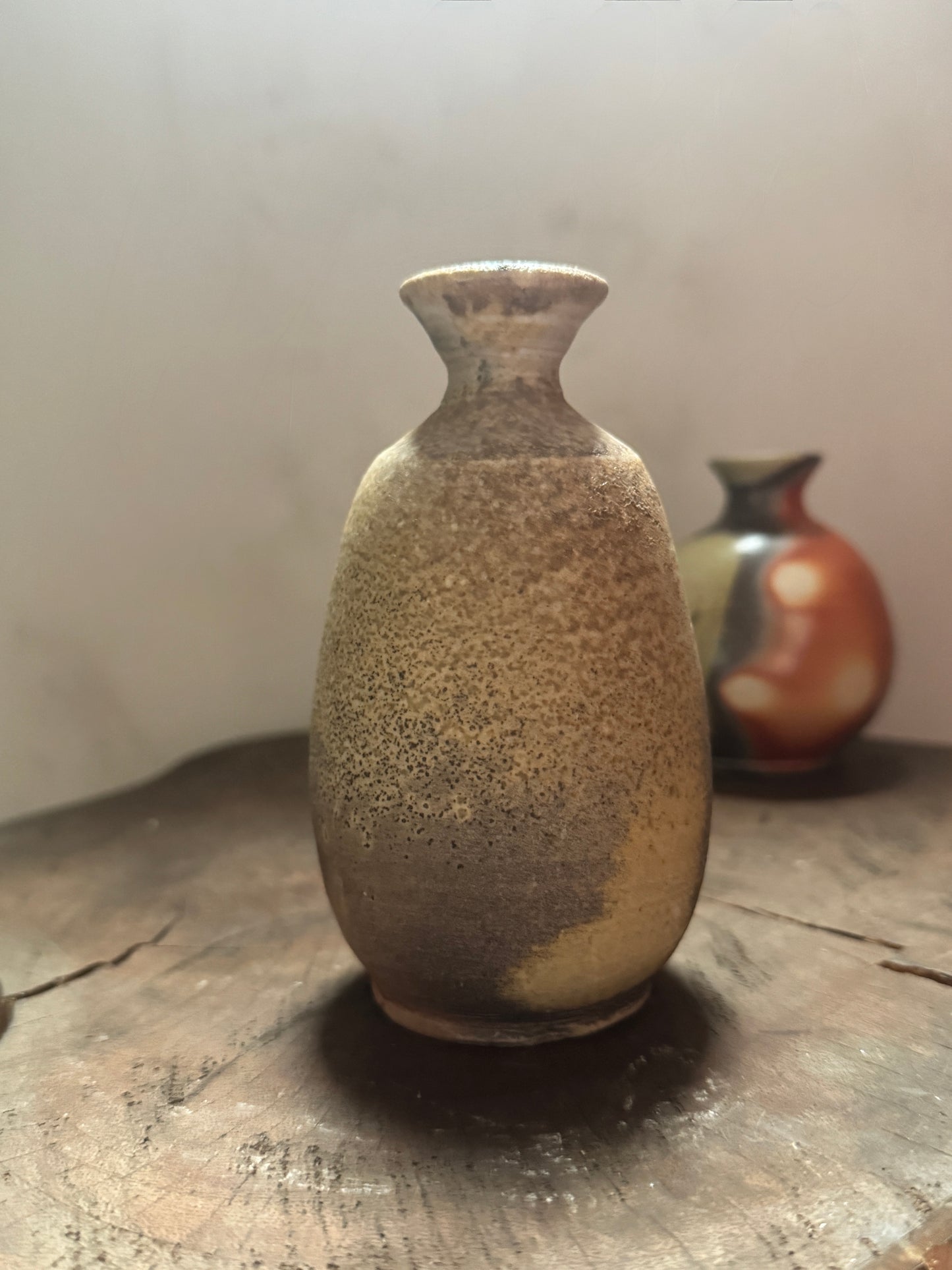 Shigaraki Sake Decanter E