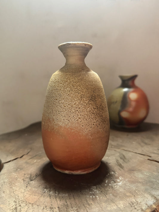 Shigaraki Sake Decanter E